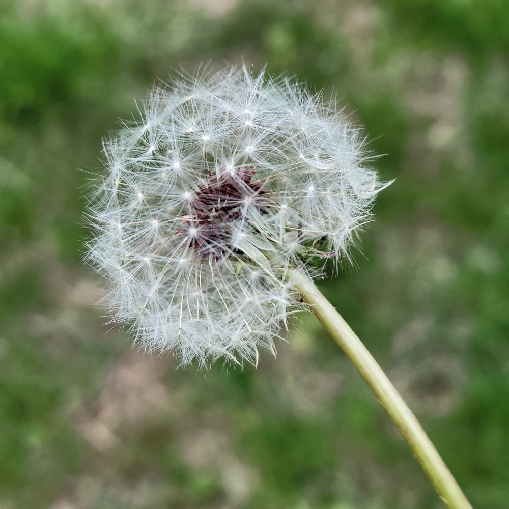 Meet your Posher, Krystle